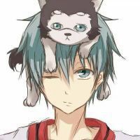 高傲猫动漫头像男生头像男生头像