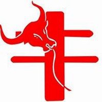 属牛的旺财微信头像
