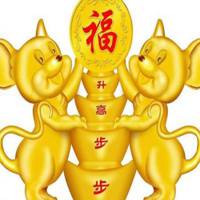 属牛的配什么微信头像