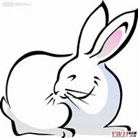 属兔带来财运微信头像