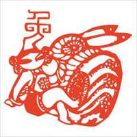 我是做生意的，也是属兔的微信图像用哪一种发