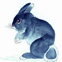 属兔男微信头像