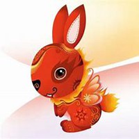 属兔最吉利的微信图片