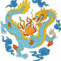 适合属龙的微信头像图片