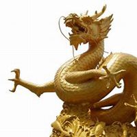 1988年属龙8月三十适合什么样的微信头像