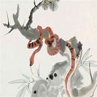 属蛇女2019微信头像图片大全