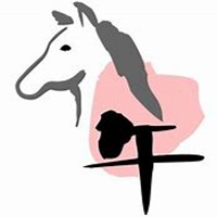 属马的女生用什么微信头像运势好
