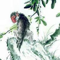 2018属猴女旺财头像