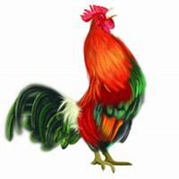 属鸡人微信头像