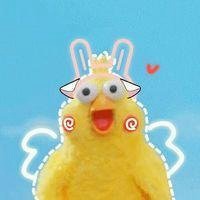 属鸡2019年，信用微信头像