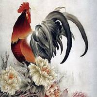 2019年属鸡人的风水微信头像