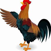 属鸡的微信用什么头像