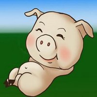 属猪的微信风水头像