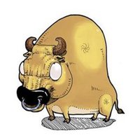 2018适合属猪人的微信头像