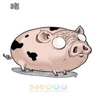 适合属猪的做生意的微信头像