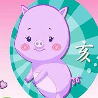 属猪招财吉祥微信头像