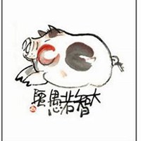 属猪人要用那种微信头像