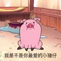 2019属猪女人吉祥头像