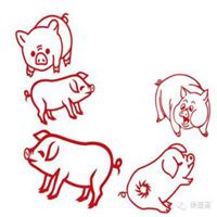 2019属猪旺运微信头像图片大全