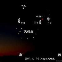 关于天蝎座头像图片大全