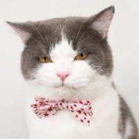 忧郁动漫男头像欧美