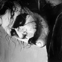 小丑哈莉卡通头像