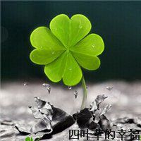 卡通头像女孩四叶草