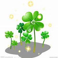 小图纹身四叶草带字头像女生