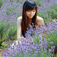 微信女生头像花海2017