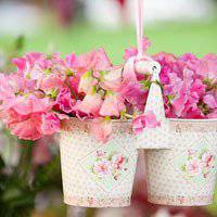 花海清纯微信美女头像