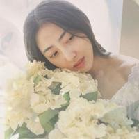 好看玫瑰花海头像