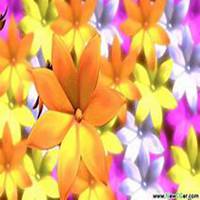 花海中姐妹头像