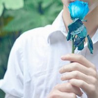 拿玫瑰花头像女生头像图片大全