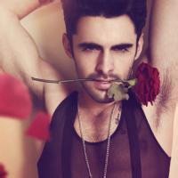 人拿玫瑰头像图片大全