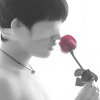 人拿玫瑰花头像图片大全