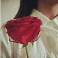 女生拿玫瑰花动漫头像图片大全