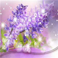 薰衣草女生头像