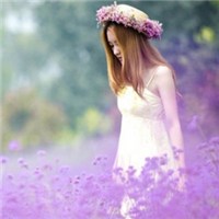 薰衣草闺蜜头像带字图片大全集