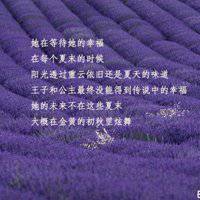 薰衣草女孩微信头像带字图片