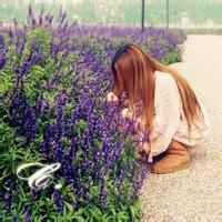 动漫薰衣草女生头像背影图片唯美 动漫薰衣草女生头像背影图片唯美