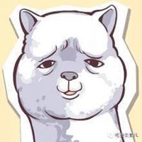 逗比情侣头像宠物