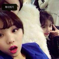 微信头像文字你是猴子请来逗逼么