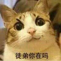 微信头像王逗逗