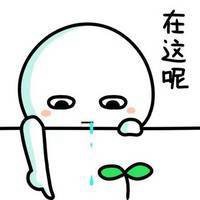 路飞头像高清逗比