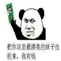 高清头像猫逗比