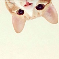 逗比卡通情侣头像