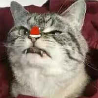 逗拍怎么编辑头像