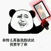 逗比情侣头像动物