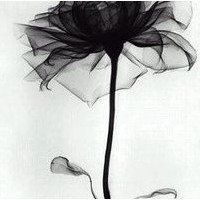 闺蜜头像卡通逗比