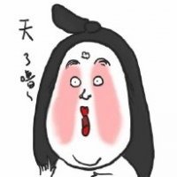 逗比树袋熊头像